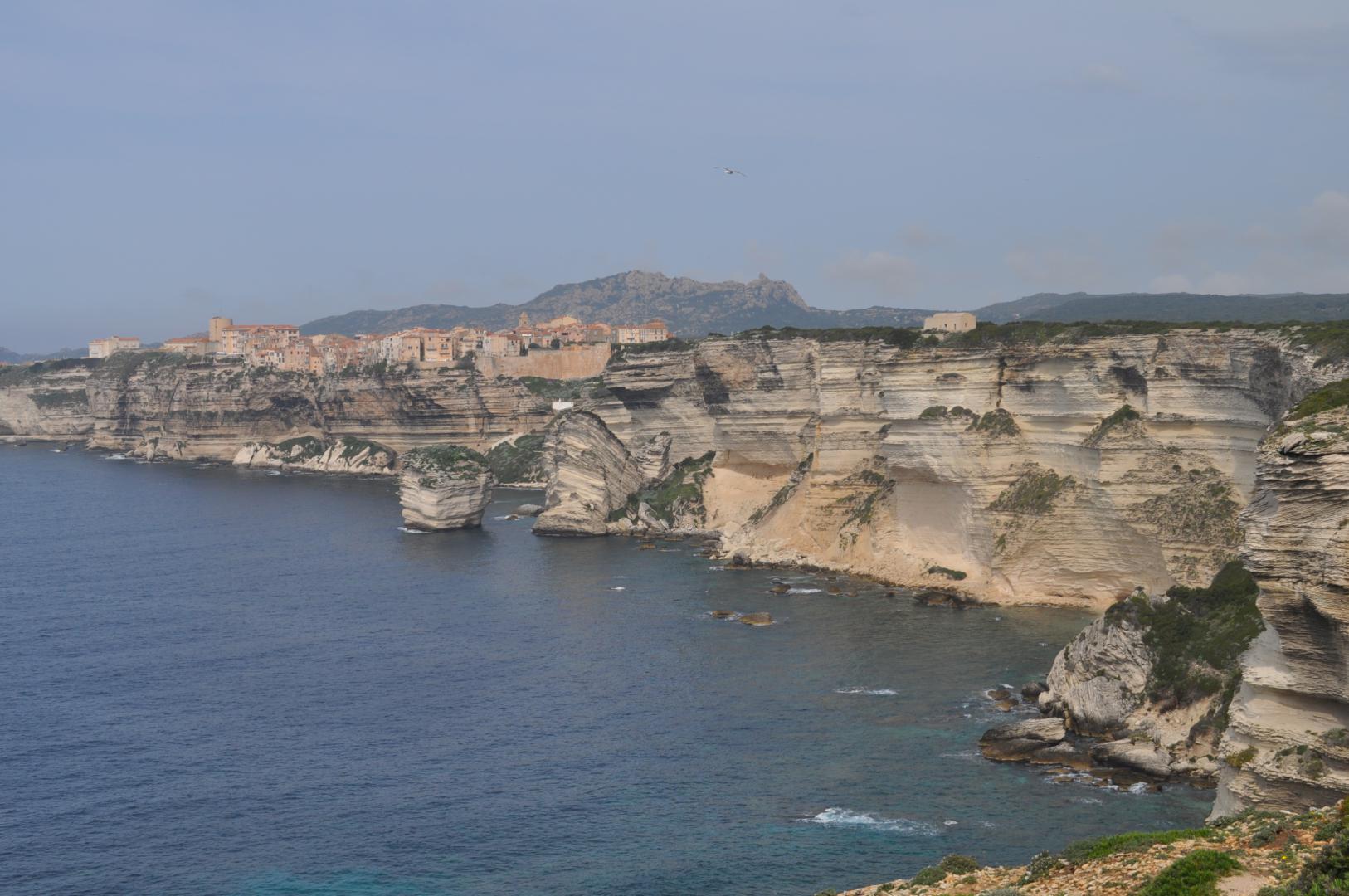 bonifacio